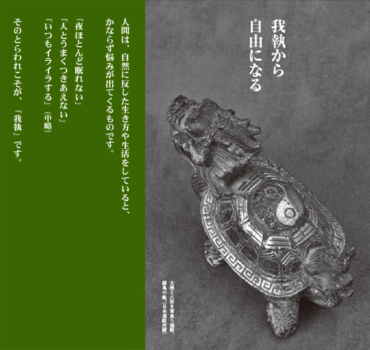 �䎷���玩�R�ɂȂ�